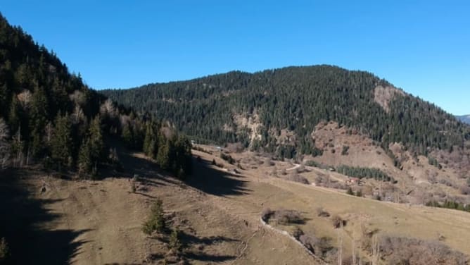 Didi Mitarbi 360°