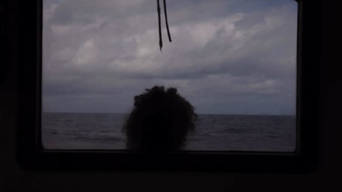 Rara Avis Trailer