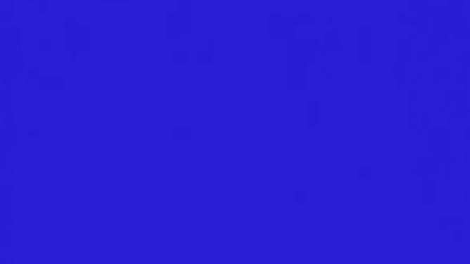 Bettelvideo BildMitTon