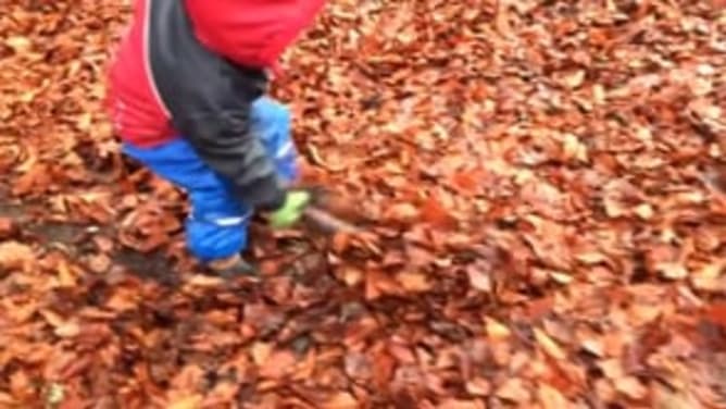 L&rsquo;éco crèche en forêt à Genève dehors toute l&rsquo;année. Retrouvez-nous et soutenez-nous sur wemakeit.com