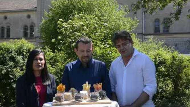The JAIDEE Project