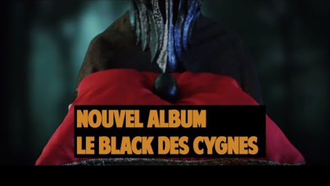 Le Black des Cygnes  - Grand Canard Blanc