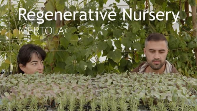 Regenerative Nursery Mértola