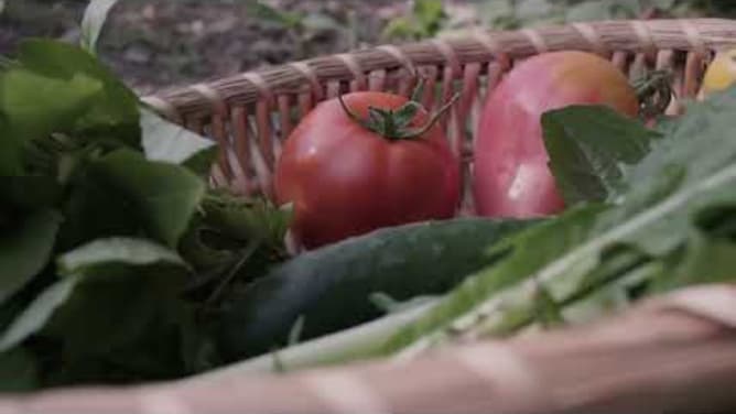 La Ferme de Bois du Nant | Projet Wemakeit