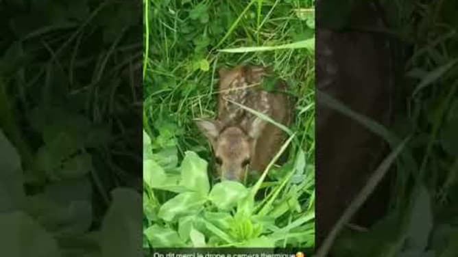 WhatsApp Video 2022 02 27 at 21 30 22