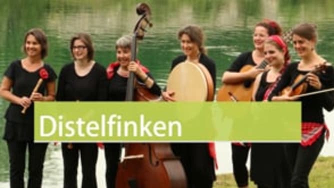 Distelfinken @ WEMAKEIT