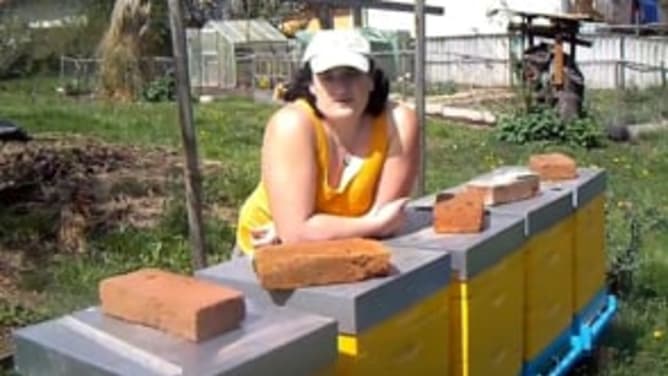 Projekt Bienen und Nutzen