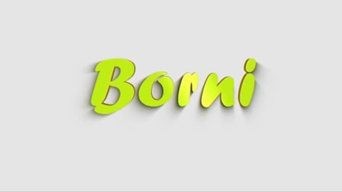 Borni stellt sich vor