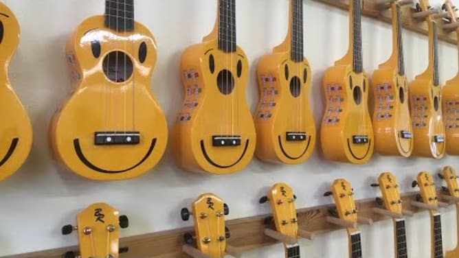 Projektvorstellung Ukulele - Sabrina & Emanuel