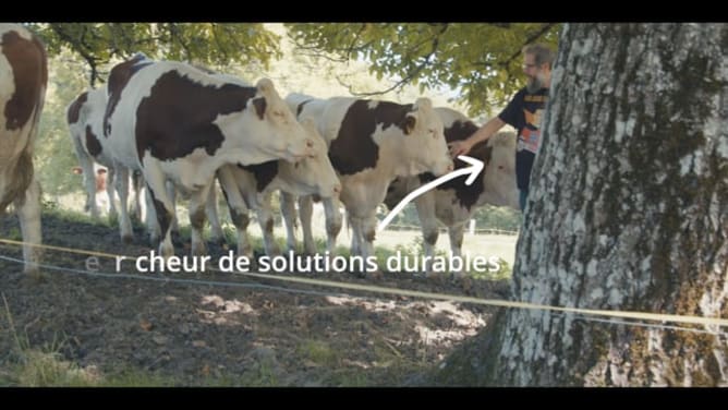 SPOT BEN OUAIS V4.mp4