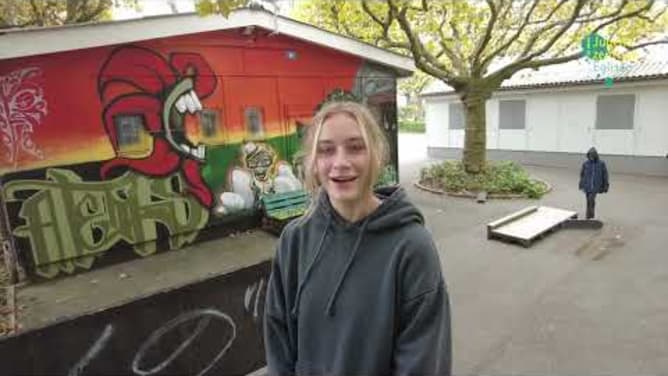 Skatespot Schoren in Basel