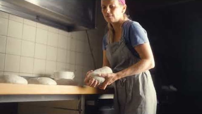 Sofia's Little Vegan Artisan