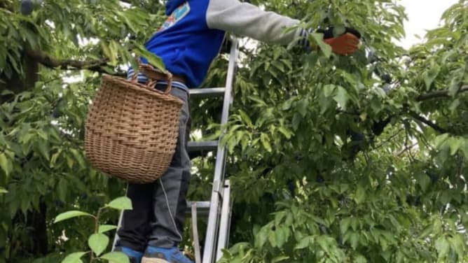 Finanzierung Ausbildung