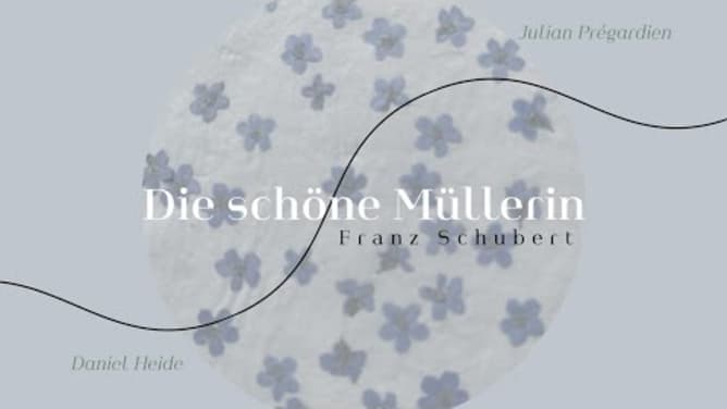 Müller*in Wien  - Wemakeit - Julian Pregardien