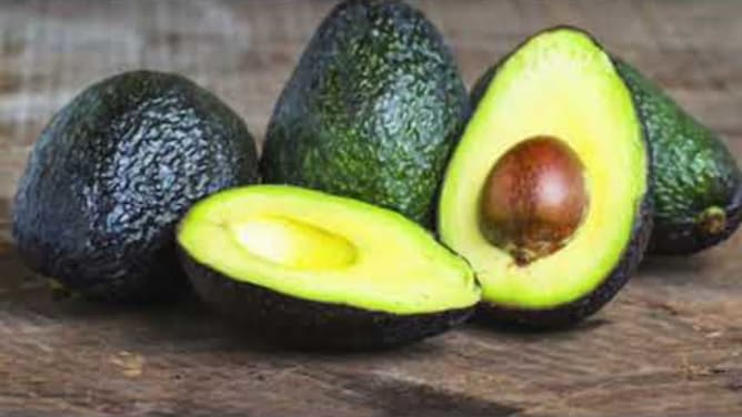 Produktion von Avocados NACHHALTIG UND FAIR