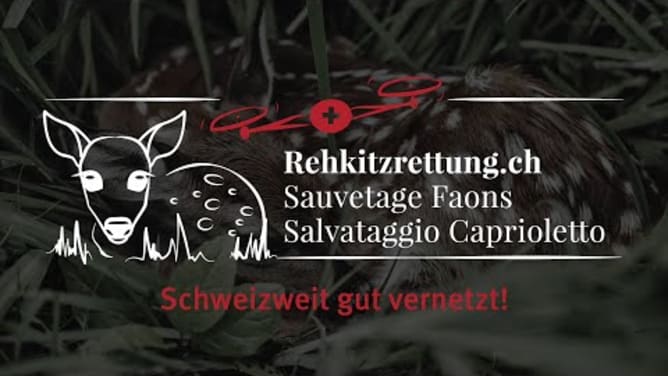 Rehkitzrettung Schweiz - Schweizweit gut vernetzt