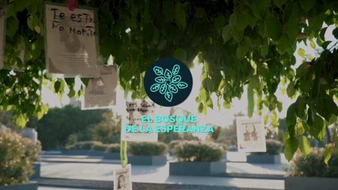 El Bosque de la Esperanza - Crowdfunding v2