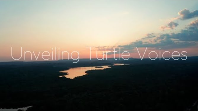 Unveiling Turtle Voices - Clip preview