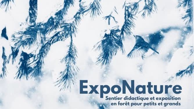 ExpoNature - Sentier didactique et exposition en forêt pour petits et grands - Les Pléiades
