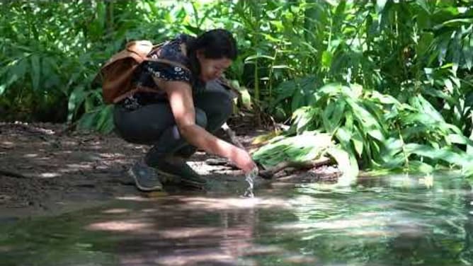 Mit einer Baumschule in El Salvador dem Klimawandel entgegenwirken