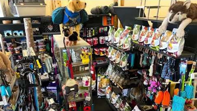 La magasin Acrodog.ch￼
