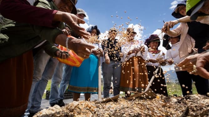 Tinku Uku Pacha Soil Assembly #2