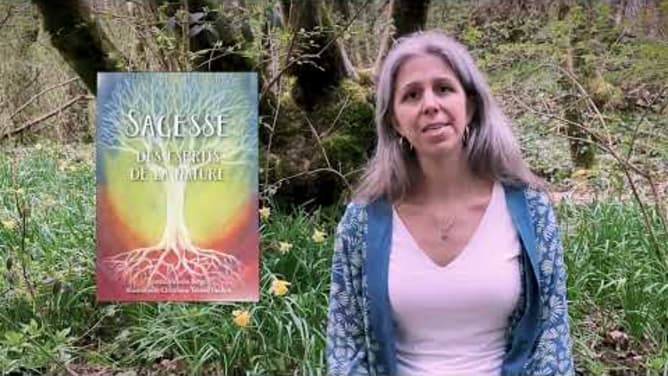 Présentation de l'oracle &laquo;Sagesse des esprits de la nature&raquo;