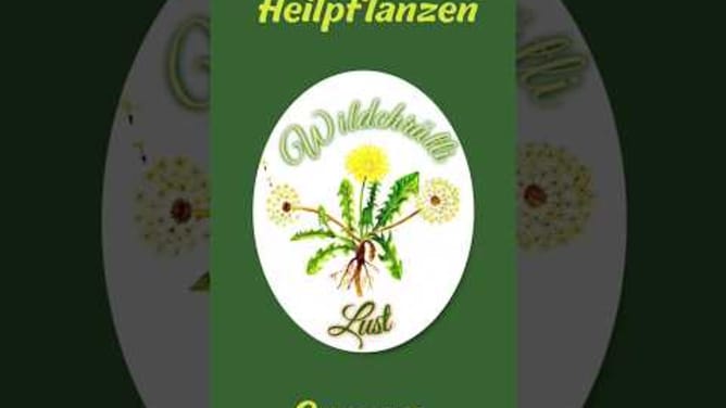 Wildchrütli-Lust = Heilpflanzen und Genuss