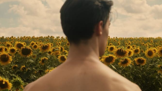 Sonnenblumen weinen auch