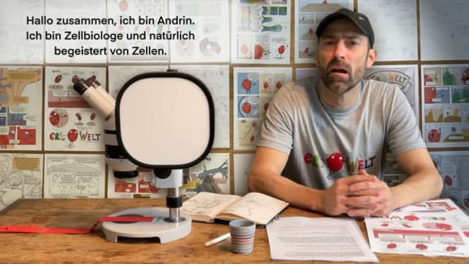Eris Welt