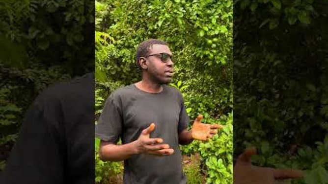 Dominique Mendy dans sa ferme à Ziguinchor 