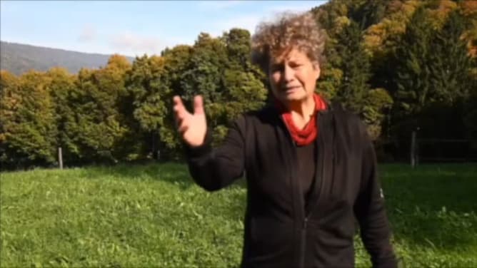 Trailer-Buchkampagne