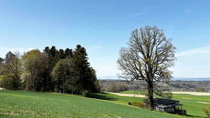 Unser Klubhaus retten