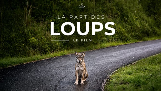 La part des loups, le film - WeMakeIt, crowdfunding
