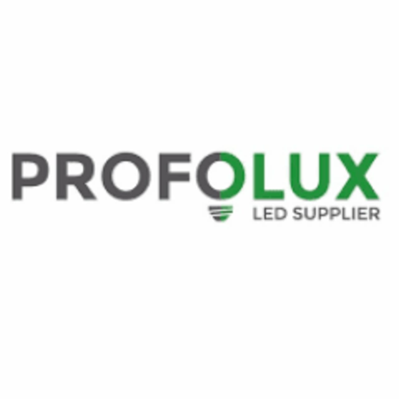 Profolux BV Logo