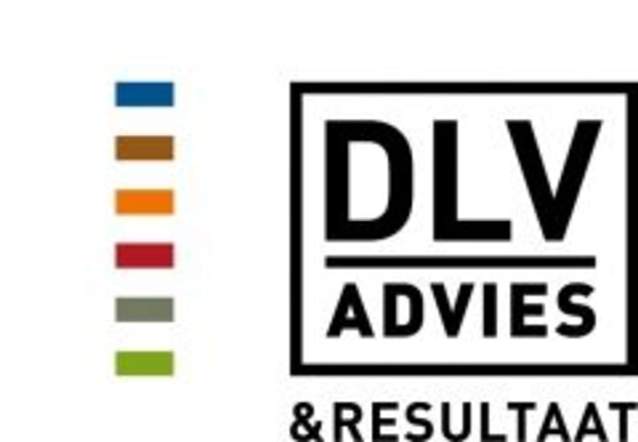 DLV Advies  Logo