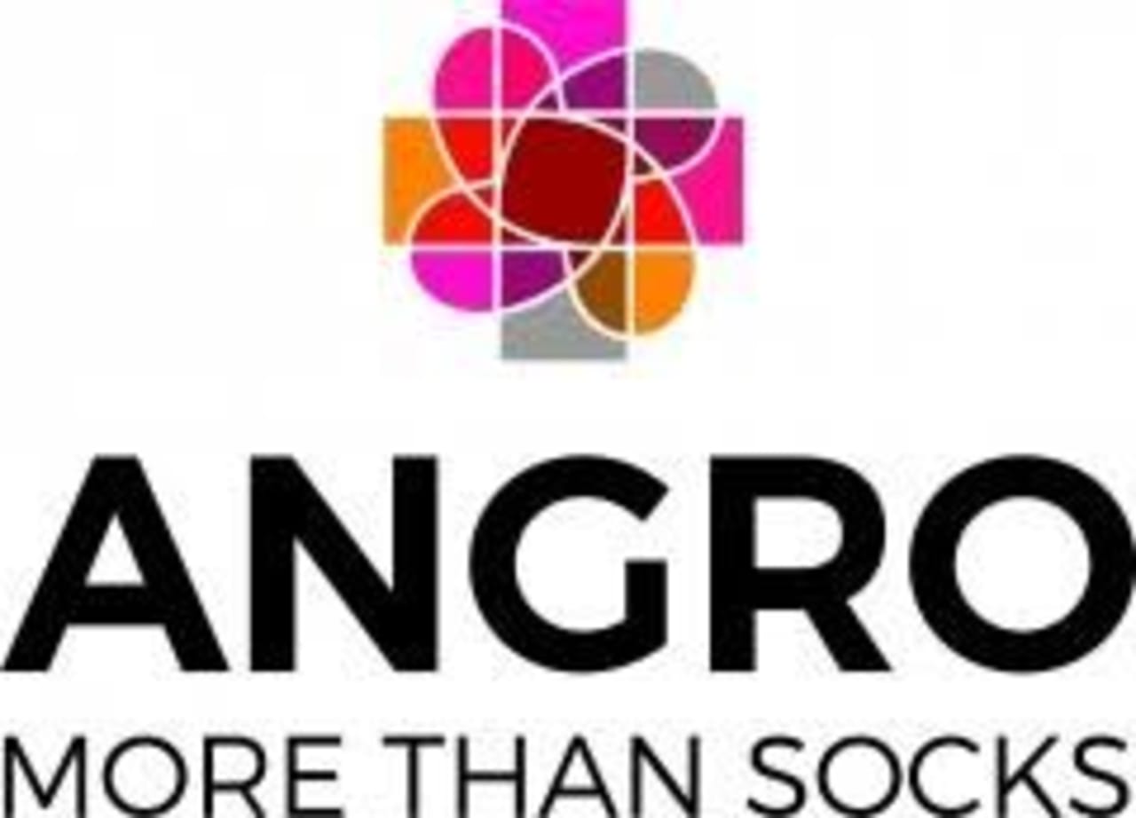 Angro B.V. Logo