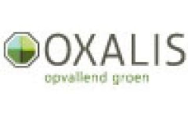 Oxalis opvallend groen Logo