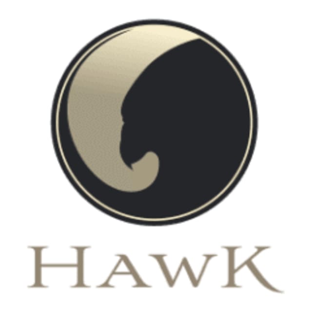 Hawk International Logo