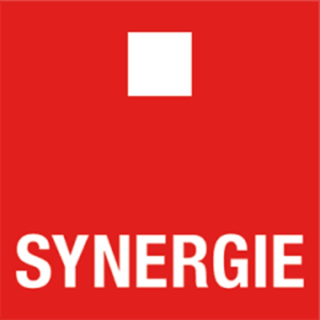 Synergie Logo