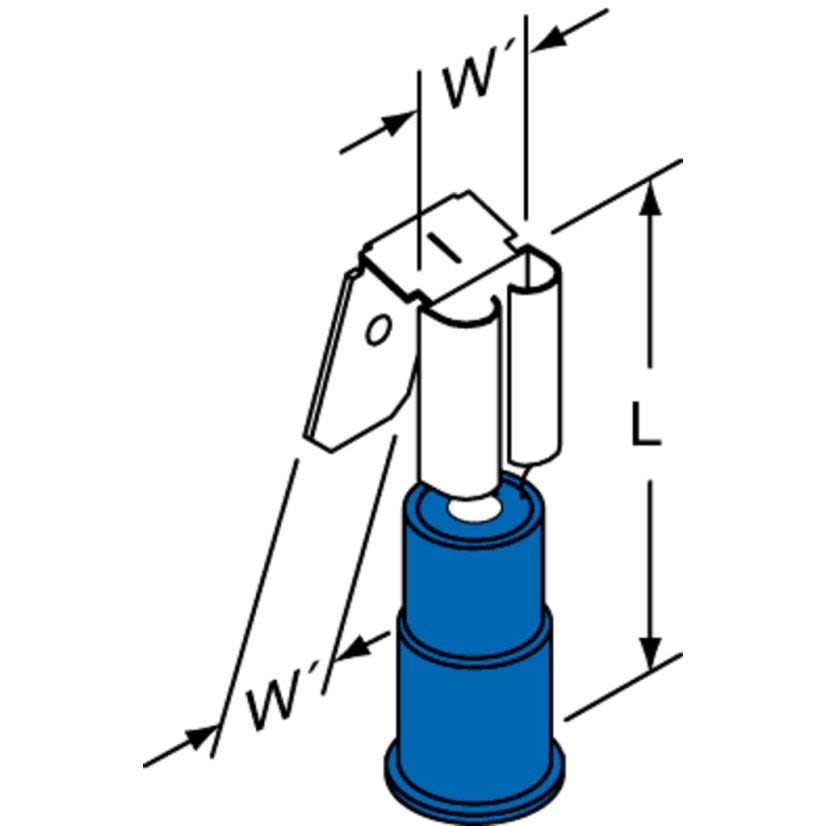 Male Female Disconnect