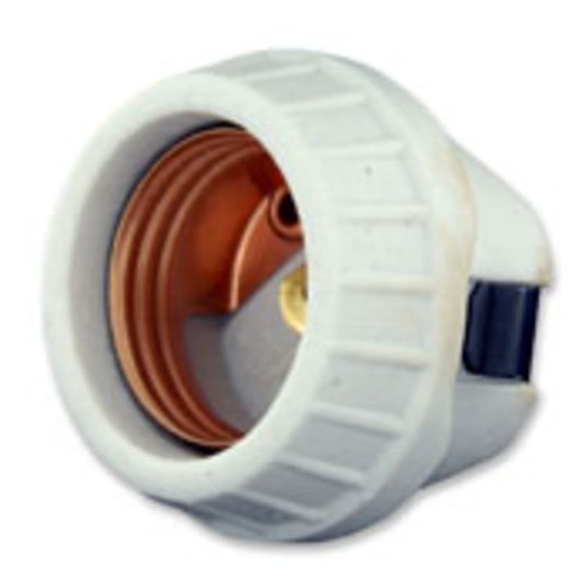 Leviton® 8875 1-Circuit 1-Piece Keyless Lampholder, 660 W, 250 VAC, Medium Incandescent Lamp