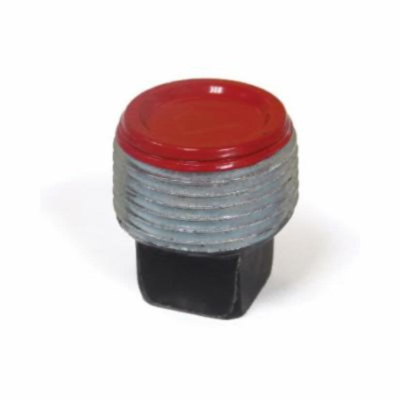 Robroy RedH2OT® PRPLG35 Square Head Conduit Plug, 1 Inch, Ferrous Metal, Polyurethane Coated