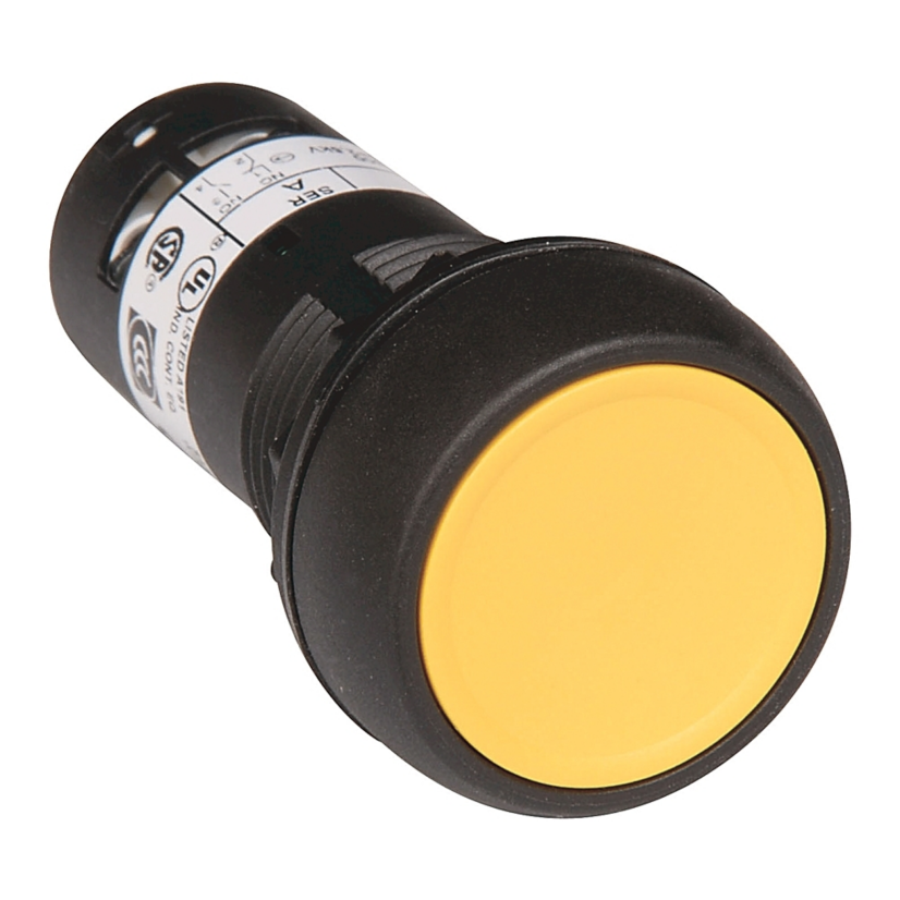 A-B Rockwell 800FD-F5X11 22mm Momentary Push Button 800F PB