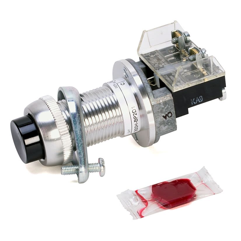 A-B Rockwell 800H-BP2D1 Type 79 800H PB