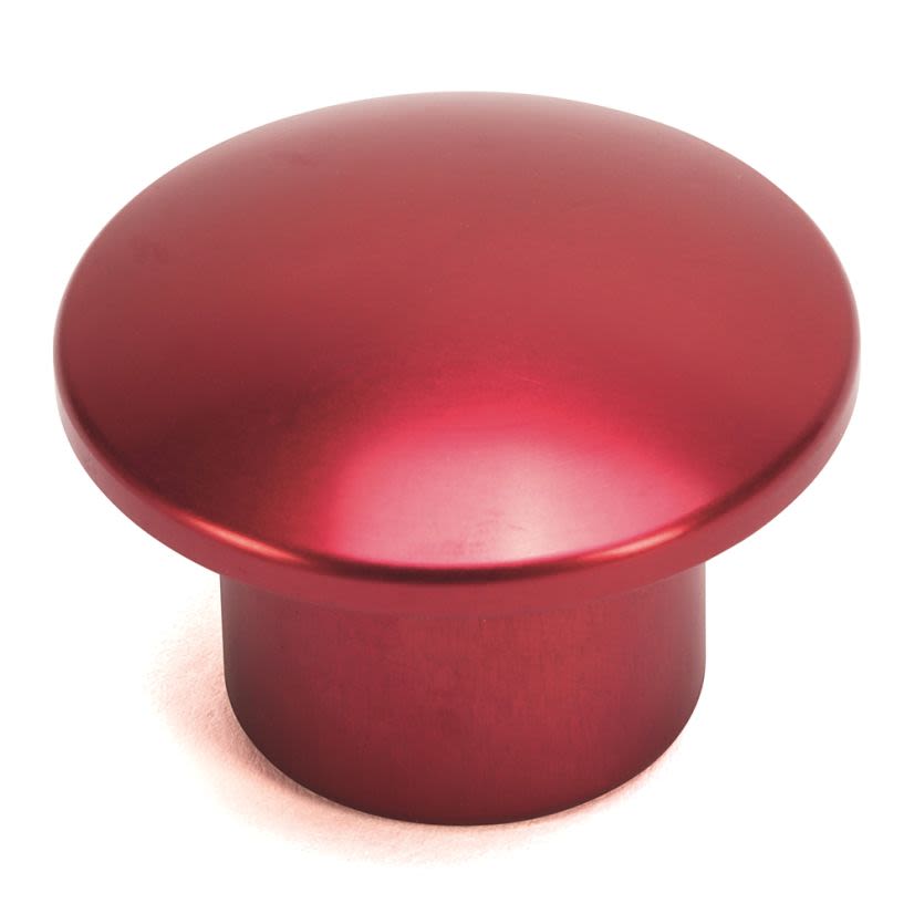 A-B Rockwell 800T-N311B 30mm Replacement Color Cap 800T PB