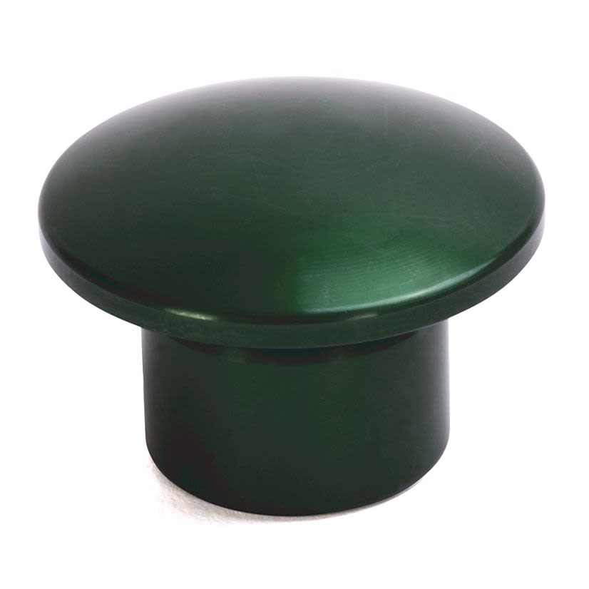 A-B Rockwell 800T-N311G 30mm Replacement Color Cap 800T PB