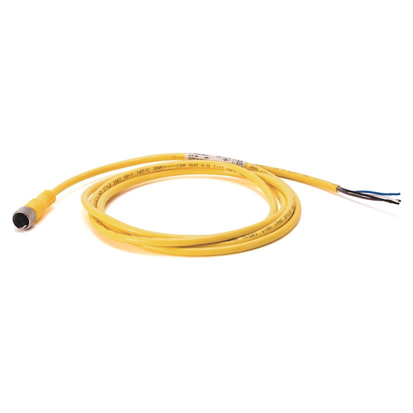 A-B Rockwell  889DS-R8AB-10 889 Patchcords And Cordsets