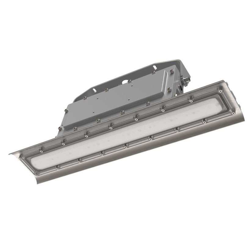 LDPI Industrial Lighting LEXS-L2-V1-5-V110-D 4 Foot Type V Diffused Lens Fixture