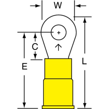 ring terminal